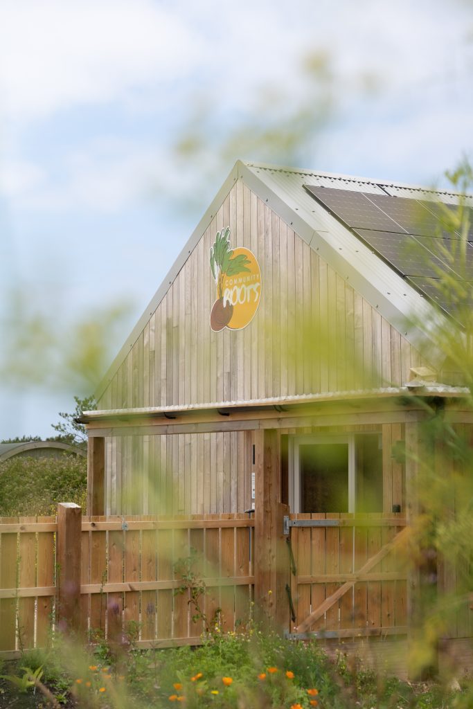 thermally modified ash