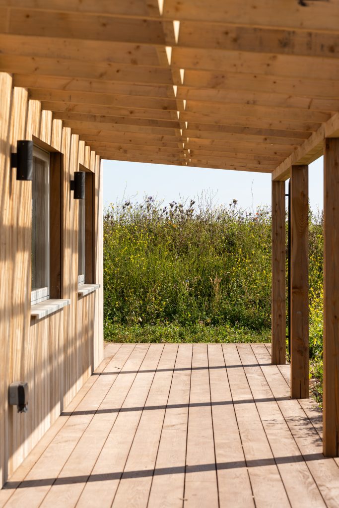 thermally modified ash