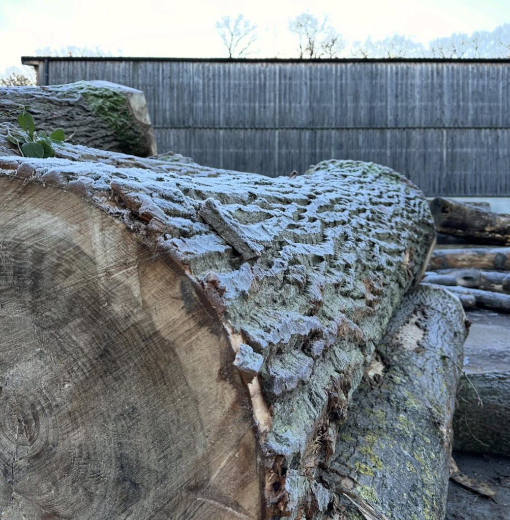 Winter Building Projects